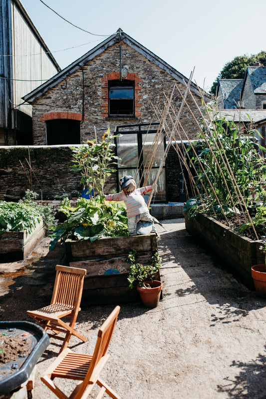 An Introduction to Companion Planting