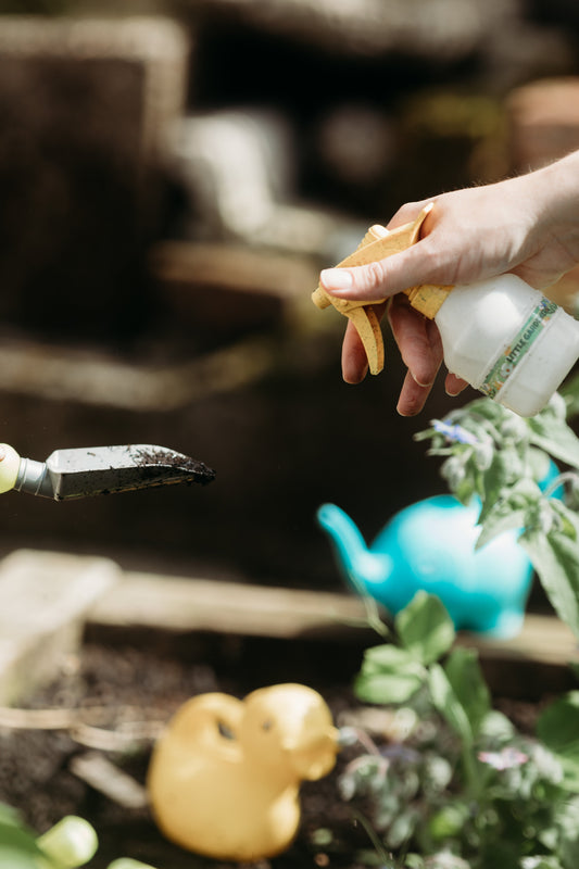 A Beginner’s Guide to Seed Sowing