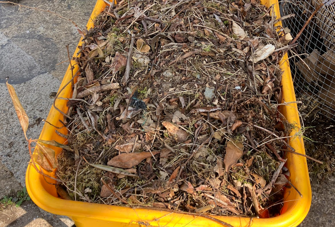 A Beginner's Guide to Composting