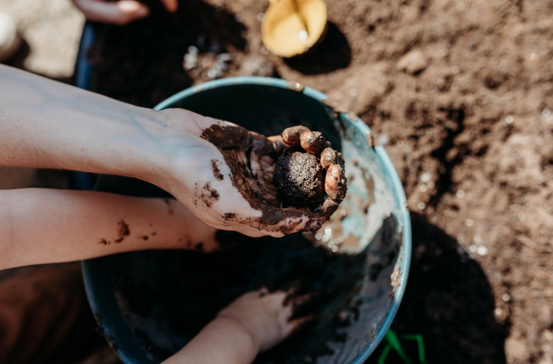 How to Make Wildflower Seed Bombs