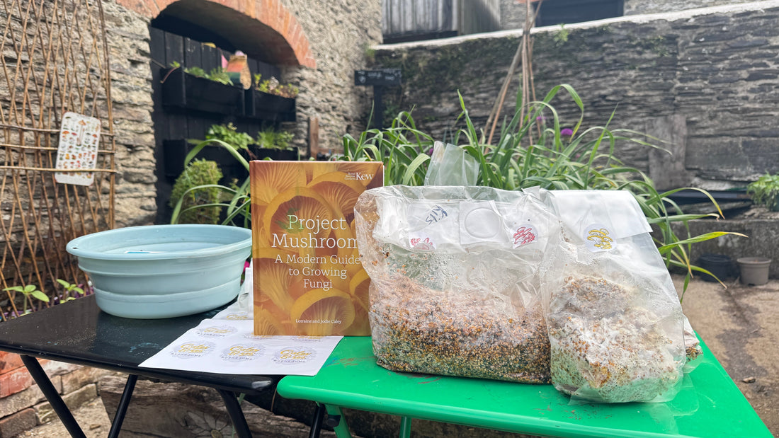 How to Grow Mushrooms on a Book