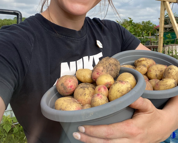 How to Grow Potatoes